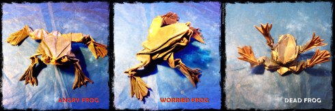 worried-frog